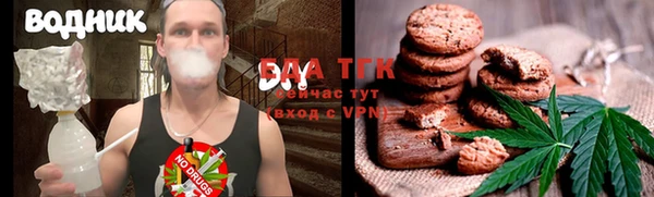 твердый Магас