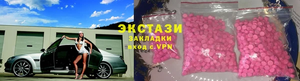 индика Медвежьегорск
