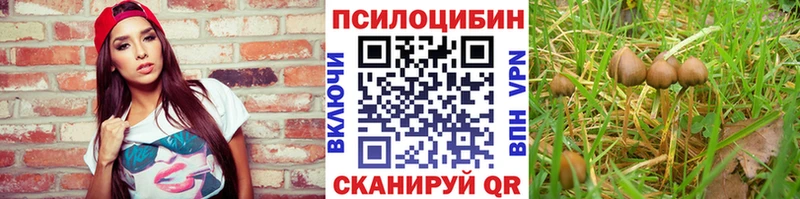 Галлюциногенные грибы Cubensis  Спасск-Дальний 